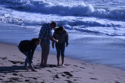 DSC_0394 (Large).JPG